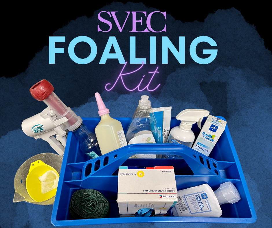 foaling-kit-saginaw-valley-equine-clinic